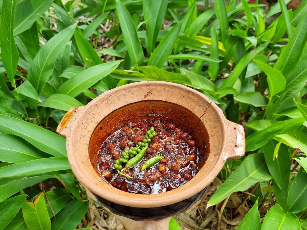 Ba Danh Homestay & Kitchen - Ben Tre Mekong Zewnętrze zdjęcie