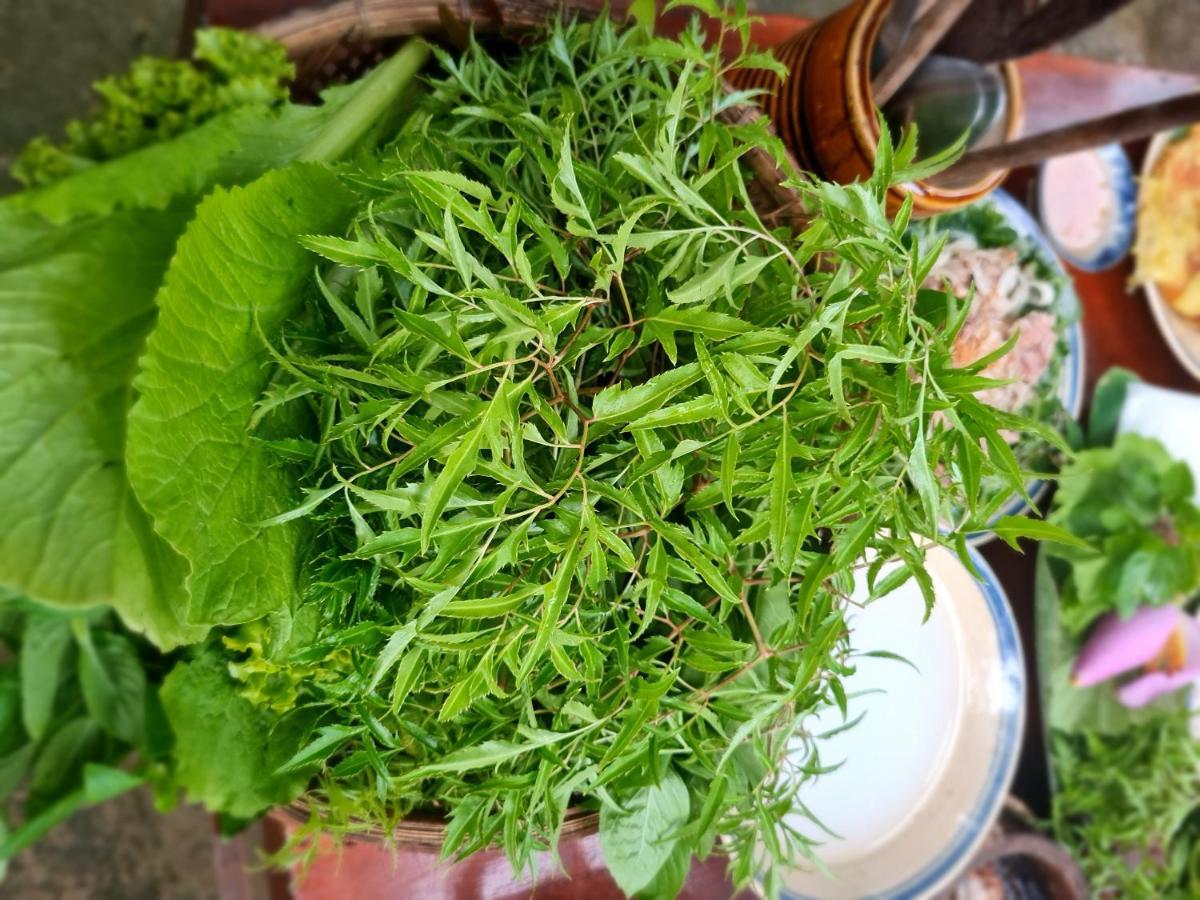 Ba Danh Homestay & Kitchen - Ben Tre Mekong Zewnętrze zdjęcie
