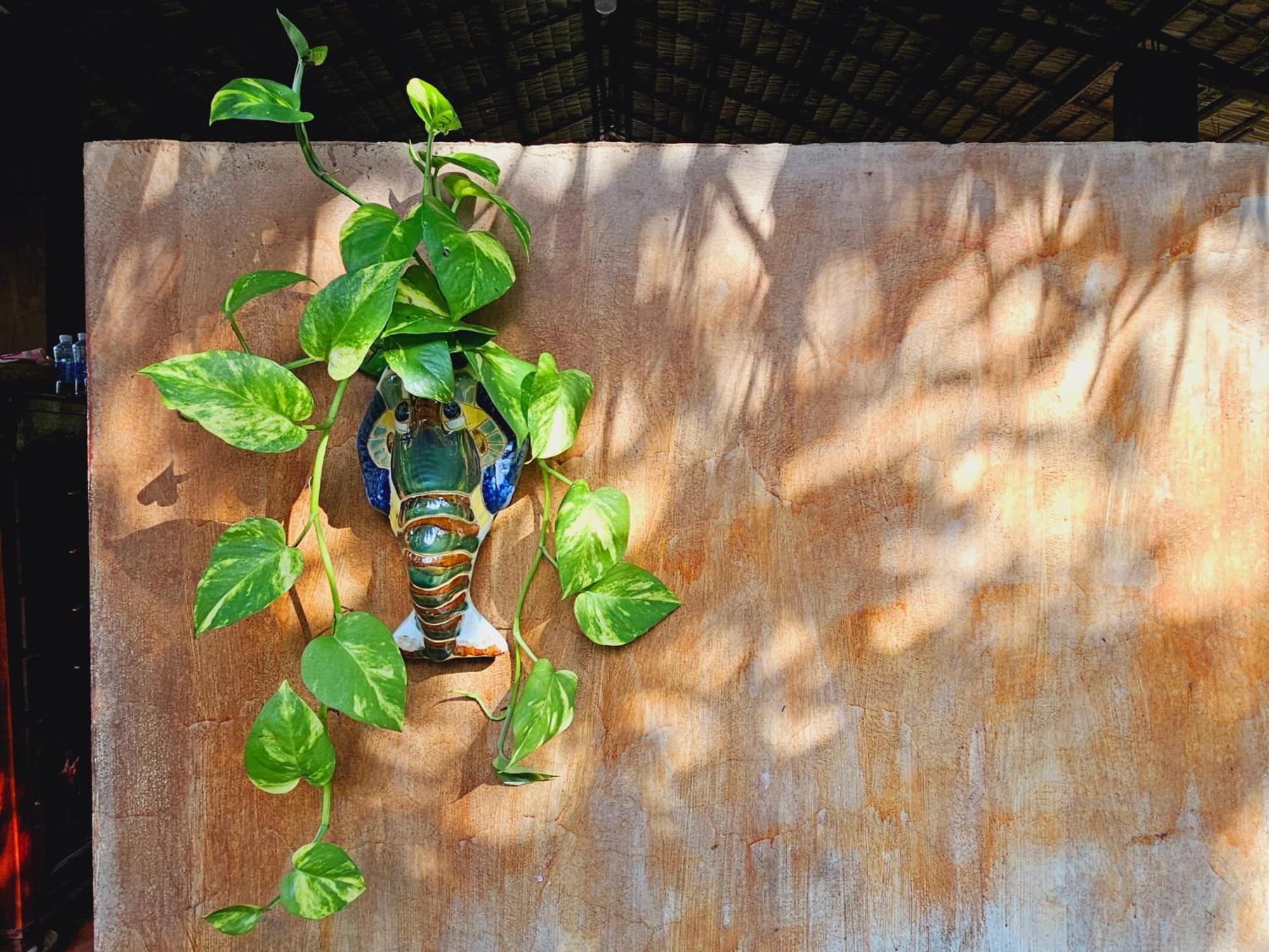 Ba Danh Homestay & Kitchen - Ben Tre Mekong Zewnętrze zdjęcie