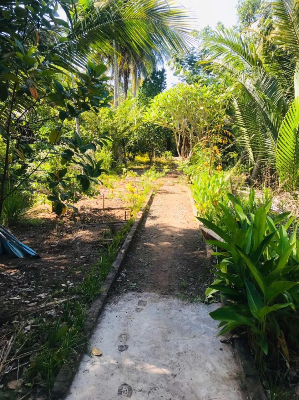 Ba Danh Homestay & Kitchen - Ben Tre Mekong Zewnętrze zdjęcie