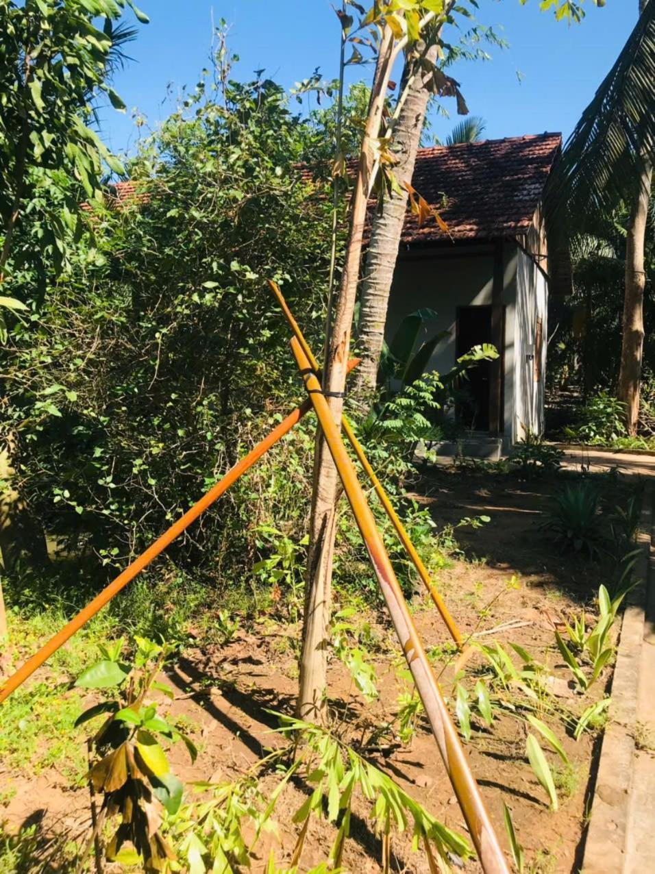 Ba Danh Homestay & Kitchen - Ben Tre Mekong Zewnętrze zdjęcie