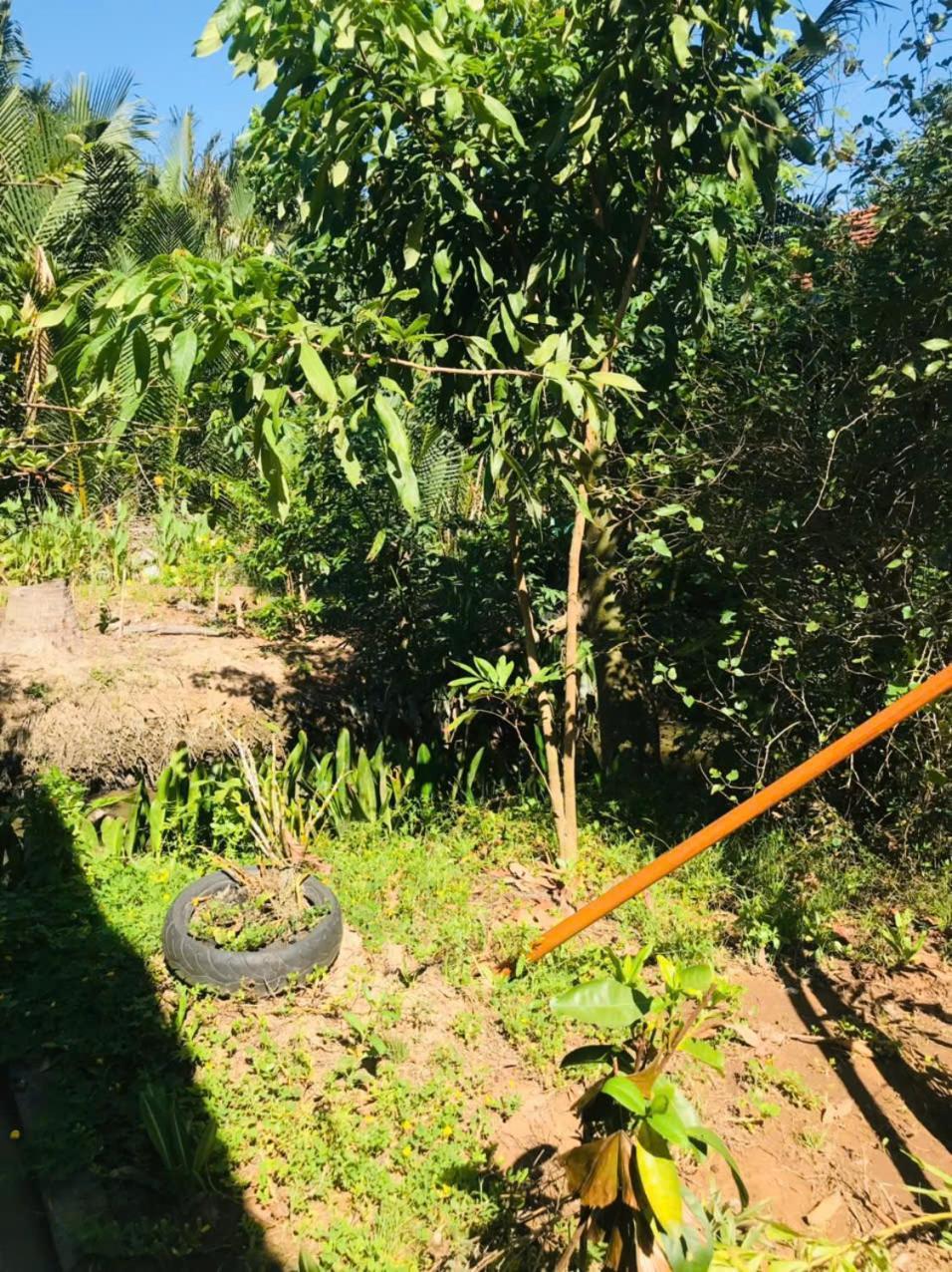 Ba Danh Homestay & Kitchen - Ben Tre Mekong Zewnętrze zdjęcie